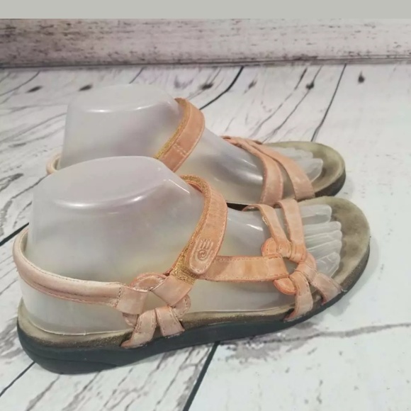 teva apricot